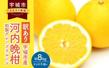 訳あり 河内晩柑 8kg【2025年3月下旬から2025年7月下旬発送予定】晩柑 ジューシーオレンジ 果物 フルーツ 規格外 不揃い