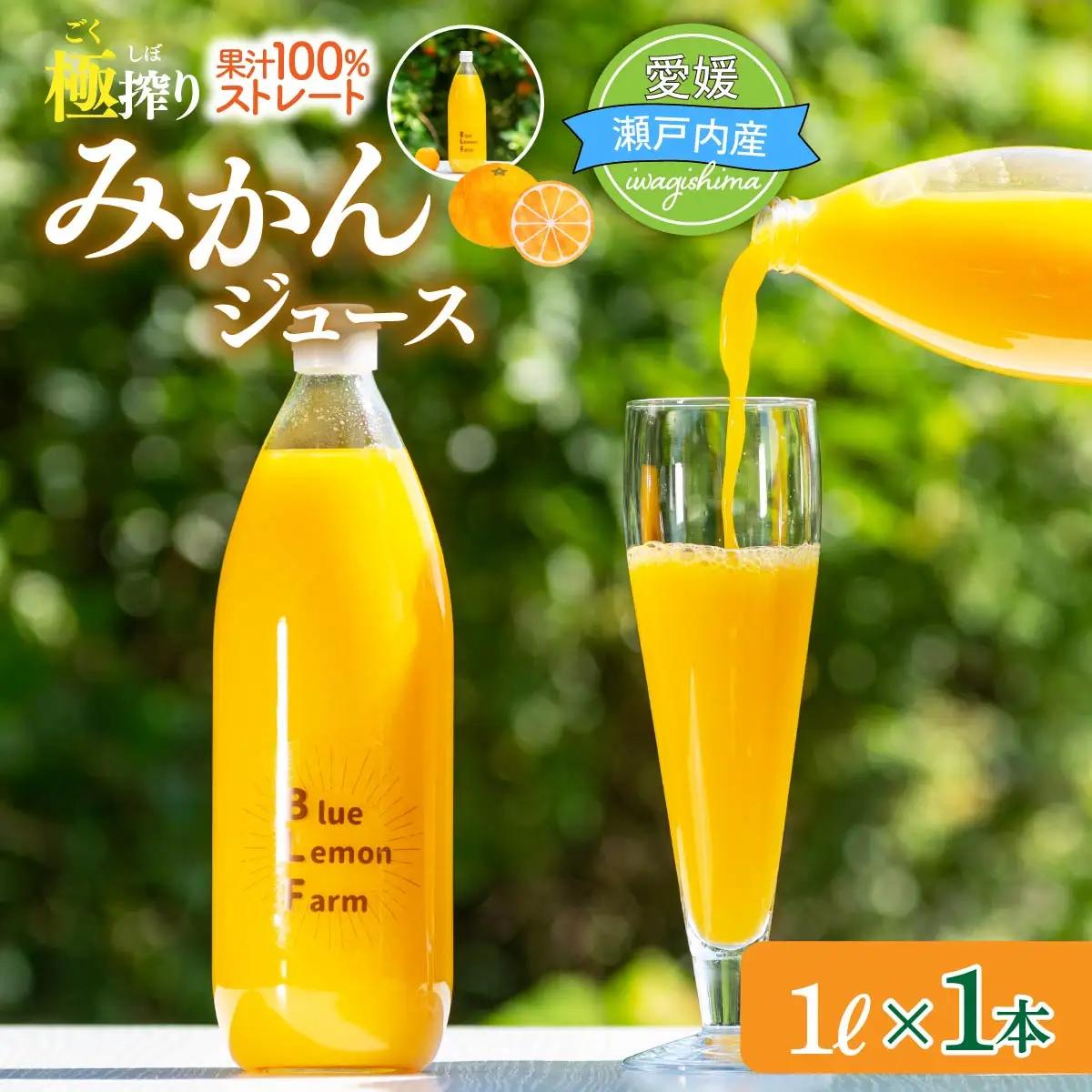 愛媛　ブルーレモンファームのごくしぼりみかんジュース　1L　1本