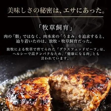 【毎月定期便】和牛道ハンバーグ120g×6食セット 大樹町 黒毛和牛 グラスフェッドビーフ全12回【配送不可地域：離島】【4071617】