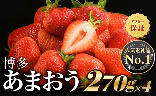 いちごの王様 博多あまおう 約1,120g 航空便だから美味しい