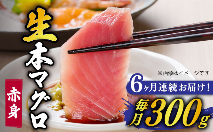 
【全6回定期便】【ながさき水産業大賞受賞の新鮮なマグロを冷蔵でお届け！！】 五島列島産 養殖 生本かみマグロ 赤身 300g マグロ まぐろ 鮪 刺身 ブロック 【カミティバリュー】 [RBP024]
