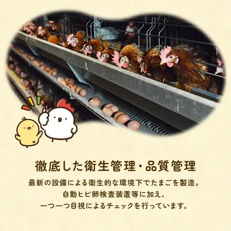 【定期便6回】九十九里ファームこだわりたまご贈答用 180個 ～あおい海・みどりの里～《赤玉》 たまご 卵 玉子 タマゴ 赤玉 卵かけご飯 新鮮 旨み 甘み 贈答用 贈答 ギフト 贈り物 千葉県 匝瑳