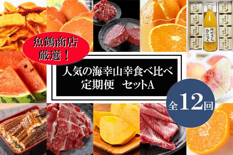 〈毎月定期便〉人気の海幸山幸食べ比べ セットA 【定期便全12回】【魚鶴厳選】◆