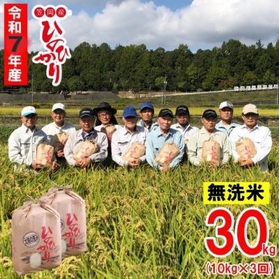 ふるさと納税 笠岡市 【令和7年産 先行受付】無洗米  ひのひかり 笠岡産 30kg 太陽の恵み O-07_30k_無洗米