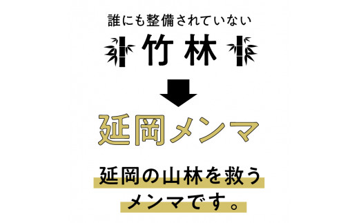 延岡メンマ パウチ 3種セット　A0198