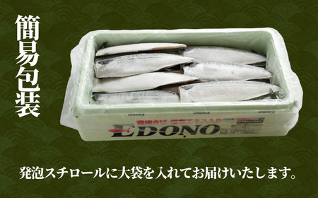 【 スピード配送 】 適塩さば 昆布エキス入り 10枚 さば