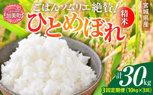 【3回定期便】 精米 令和6年産 宮城県産ひとめぼれ 計30kg (10kg×3回) [菅原商店 宮城県 加美町 ]  | sg00001-r601-10kg-3