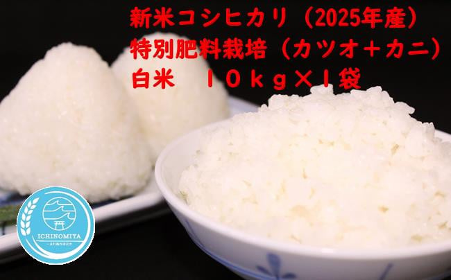 
千葉県一宮町産特別肥料栽培『カツオ＋カニ』コシヒカリ（白米１０㎏）令和７年産米【2025年発送分】　一等米　10kg　１袋　白米　精米　先行予約
