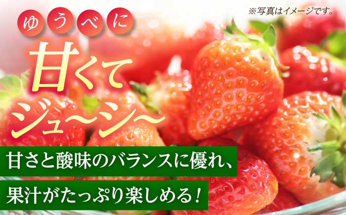 【先行予約】いちご Mサイズ ゆうべに 2kg（8pc）【熊本ベリー】いちご イチゴ 苺 ゆうべに 大粒いちご  [ZER008]