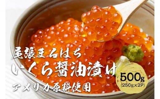 いくら 醤油漬け 500g(250g×2P) アメリカ 鮭の卵 化粧箱入 尾張まるはち | いくら イクラ いくら醤油漬け 鮭卵 醤油漬け 化粧箱入り 贈答用 高級 グルメ 人気 おすすめ 海鮮 魚卵
