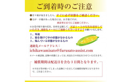 甘々娘　とうもろこし　２Lサイズ　12本入り　【2026年6月上旬から発送】　イチマル農園[5839-2329]