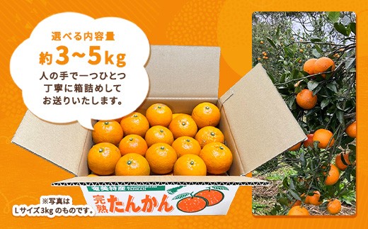 人のてにより一つずつ丁寧に箱詰めし、発送いたします。