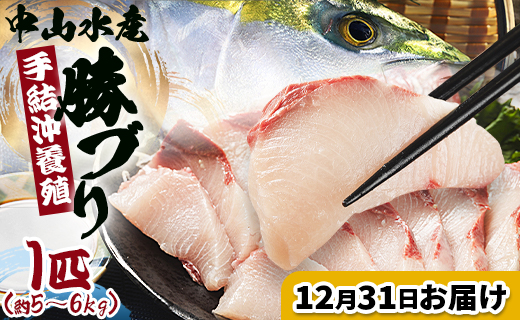 ブリ【12月31日お届け】中山水産 手結沖養殖「勝ブリ」 1匹(5kg～6kg) - 一尾まるごと 魚 ぶり 鰤 寒ブリ 海鮮 鮮魚 魚介類 ギフト 贈答 お祝い 御祝 刺身 煮物 焼き魚 照り焼き ぶりしゃぶ 一尾 たたき 1本 キロ 産地直送 buri 高知県 香南市 冷蔵 ny-0022