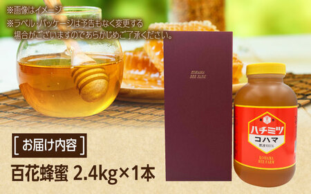 コハマのハチミツ 百花蜂蜜 2.4kg×1本 蜂蜜 はちみつ ハチミツ 国産 ギフト 沖縄市 / 農業生産法人株式会社小浜養蜂場[BCAQ006]