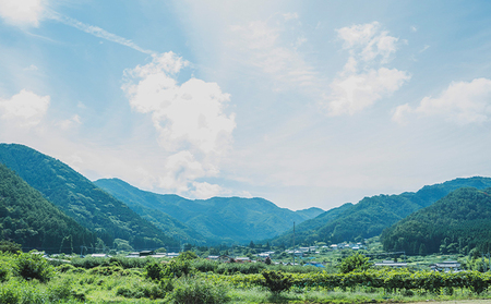 ※2025年先行予約※【信州長野県川中島産】川中島白桃５～６玉 ギフトボックス 果物 もも フルーツ 産地直送 