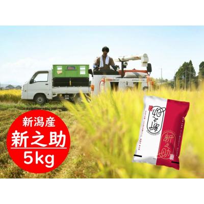 ふるさと納税 阿賀野市 【令和7年産新米】新潟県阿賀野市産 新之助 5kg