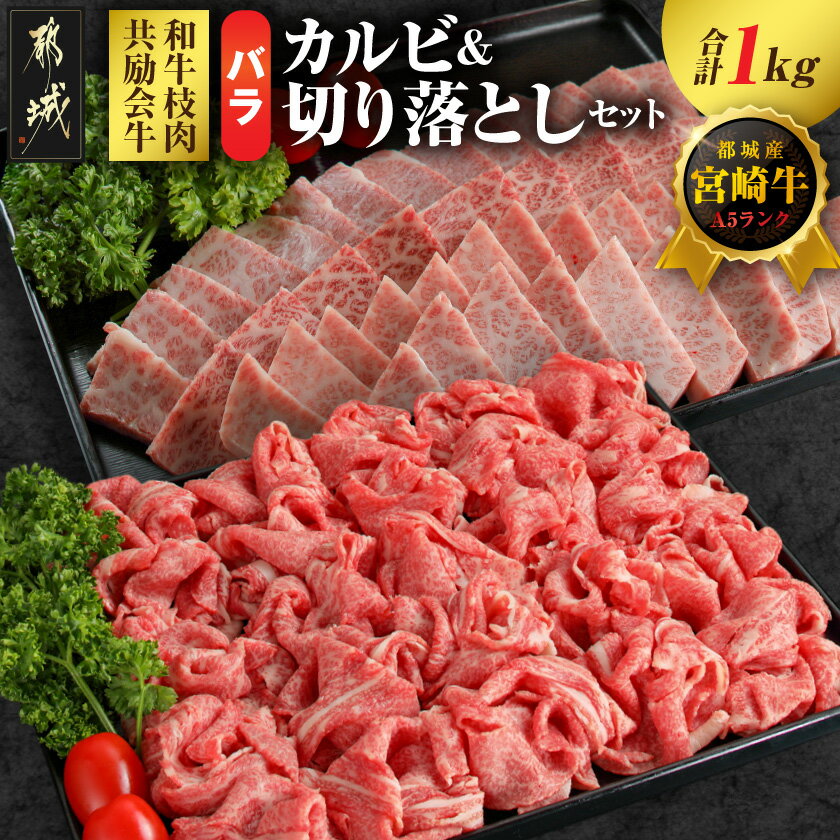 【ふるさと納税】【和牛枝肉共励会牛】(A5)宮崎牛バラカルビ＆バラ切り落としセット - 都城産 宮崎牛 A5ランク バラカルビ焼肉用 バラ切り落とし 各500g すき焼き 牛丼 真空パック 送料無料 26-25-011【宮崎県都城市は2年連続ふるさと納税日本一！】