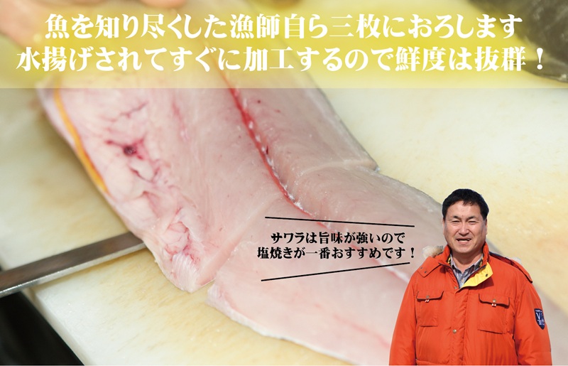 泉州さわら 片身 約1kg 099H3541
