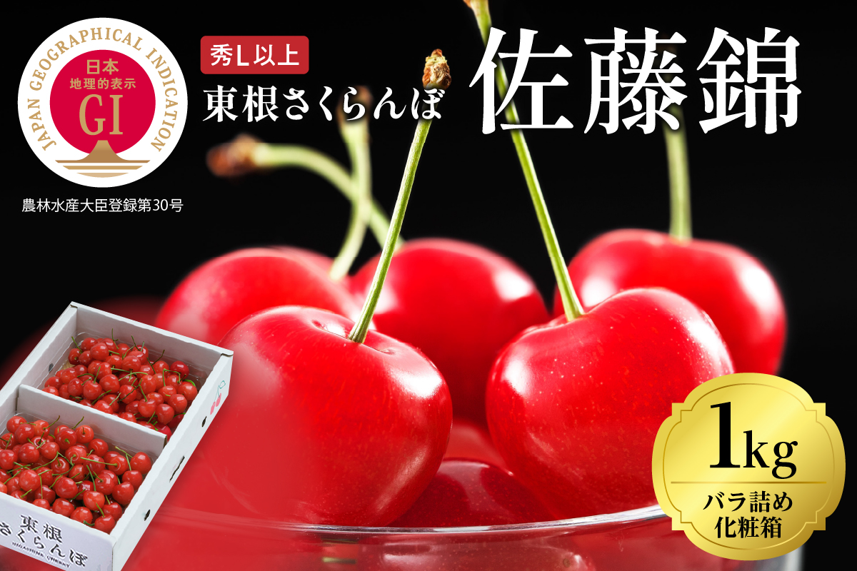 2026年 GI東根さくらんぼ「佐藤錦」1kgバラ詰め(500g×2ﾊﾟｯｸ) 秀品 Lサイズ 東根農産センター提供 山形県 東根市 hi027-214