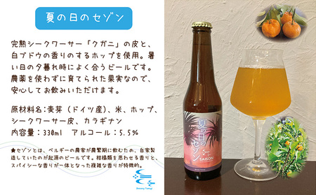 ビール  久米島の恵みをたっぷり使用「久米島産ビール飲み比べ6本セット」 クラフトビール