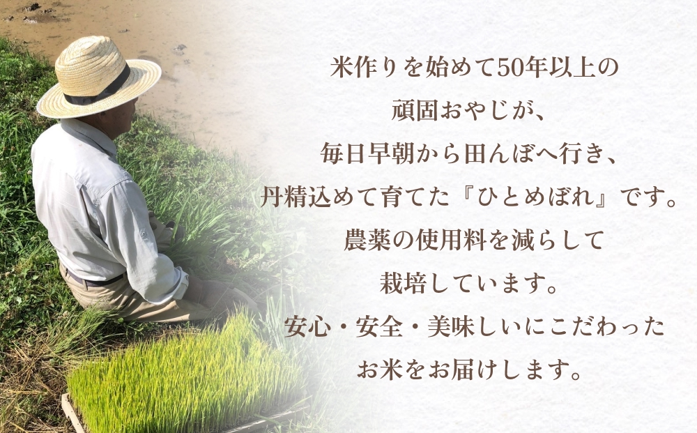 ＜先行受付＞【令和7年 玖珠産・ひとめぼれ 精米 10kg】頑固