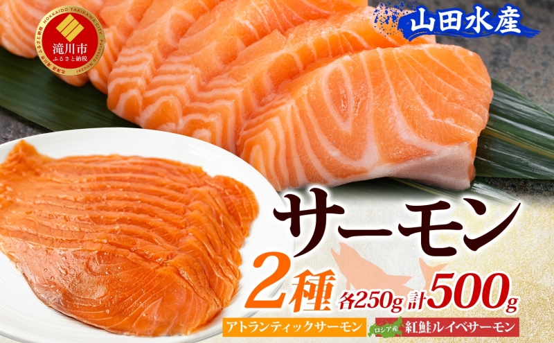 山田水産 アトランティックサーモン ロシア産 紅鮭 ルイベ サーモン 各250g 計500g 小分け 鮭 海鮮 生食用 刺身用 サケ さけ シャケ しゃけ 魚 魚介類 刺身 寿司 丼 新鮮 送料無料 山田水産 北海道 滝川市