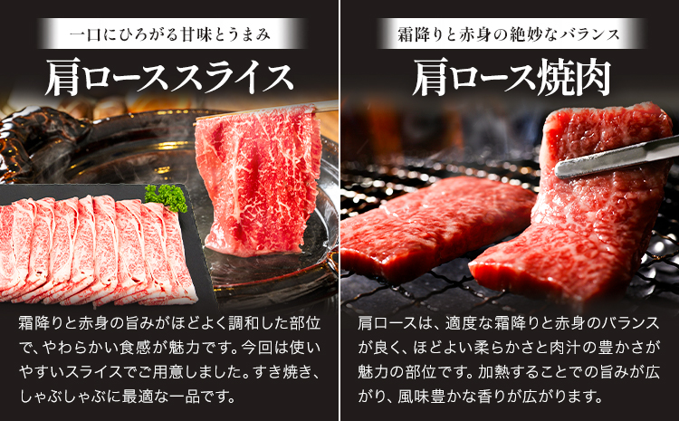 博多和牛 贅沢 ロース セット 2.3kg 地域商社ふるさぽ《90日以内に出荷予定(土日祝除く)》福岡県 小竹町 博多和牛 牛肉 肩ロース サーロイン リブロース スライス---skt_ffshwzr