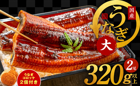 国産うなぎ 300g以上 訳あり サイズ不揃い 蒲焼き