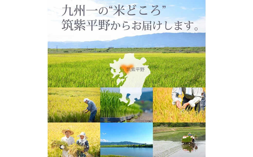 福岡県産 【特A】評価のお米「元気つくし」5kg×2袋（10kg）