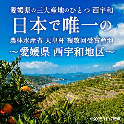 「紅プリンセス」と同品種 3kg みかん 愛媛県 八幡浜市 愛媛果試48号【E25-341】【1715574】
