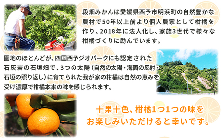 ＜愛媛県西予市産 甘夏 約8kg 家庭用＞ 果物 くだもの ミカン 柑橘 フルーツ あまなつ 産地直送 特産品 段畑みかん 愛媛県 西予市【常温】『2027年3月中旬～4月中旬迄に順次出荷予定』ADM