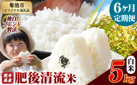 【6ヶ月定期便】熊本県産 肥後清流米 白米 5kg ブレンド米《お申込み翌月から出荷》 熊本県産 ふるさと納税 精米 米 こめ ふるさとのうぜい コメ お米 おこめ