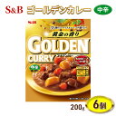 【ふるさと納税】エスビー食品 S＆B ゴールデンカレーレトルト 中辛 1セット（6個）　【上田市】