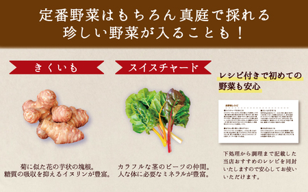 【岡山の旬をお届け！】 真庭あぐり野菜セット（野菜10品・卵・ヨーグルトのセット） / 産地直送 農家 お試し おためし野菜 岡山県 旬野菜 新鮮 あぐりガーデン 国産  国産 蒜山 ジャージー ヨー