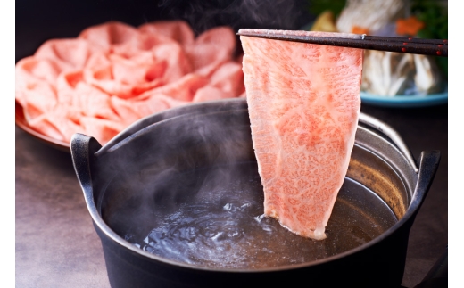 肉 博多和牛 人気部位 食べ比べ 12回 定期便 牛肉 [久田精肉店 福岡県 宇美町 um40bsi440056] 牛肉 和牛 国産 うし お肉 ステーキ 焼肉 赤身 小分け スライス シャトーブリア