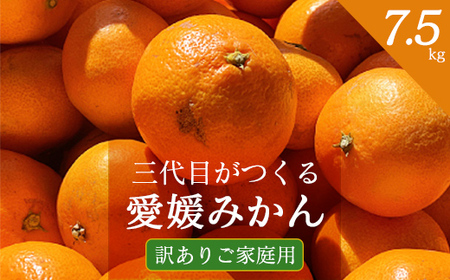 三代目がつくる愛媛みかん 7.5kg【訳あり(家庭用)】【C31-17】_美味しいみかん 美味しいミカン おいしいみかん おいしいミカン 人気のみかん 人気のミカン 国産みかん 国産ミカン 八幡浜みかん 八幡浜ミカン 甘いみかん 甘いミカン あまいみかん アマイミカン 果物みかん くだものみかん 果物ミカン クダモノミカン 美味しい柑橘 美味しいカンキツ おいしい柑橘 おいしいカンキツ 人気の柑橘 人気のカンキツ 国産柑橘 国産カンキツ 八幡浜柑橘 八幡浜カンキツ 甘い柑橘 甘いカンキツ あまい柑橘 アマイ