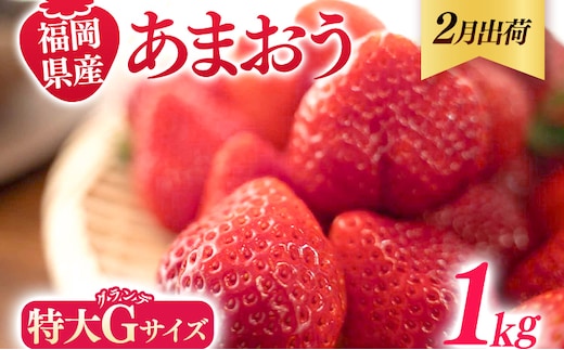 
										
										福岡県産 あまおう 1000g （250g×4パック） いちご 2月中発送 いちご 苺 フルーツ 果物 くだもの 大粒Gサイズ グランデ 農家直送 大粒 不揃い 福岡県 福岡 九州 グルメ お取り寄せ
									