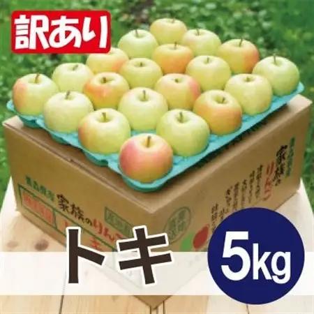 【2026年11月より順次発送】平均糖度13度以上! トキ 約5kg 訳あり_果物・フルーツ りんご  リンゴ 林檎_【配送不可地域：沖縄県】【1608000】