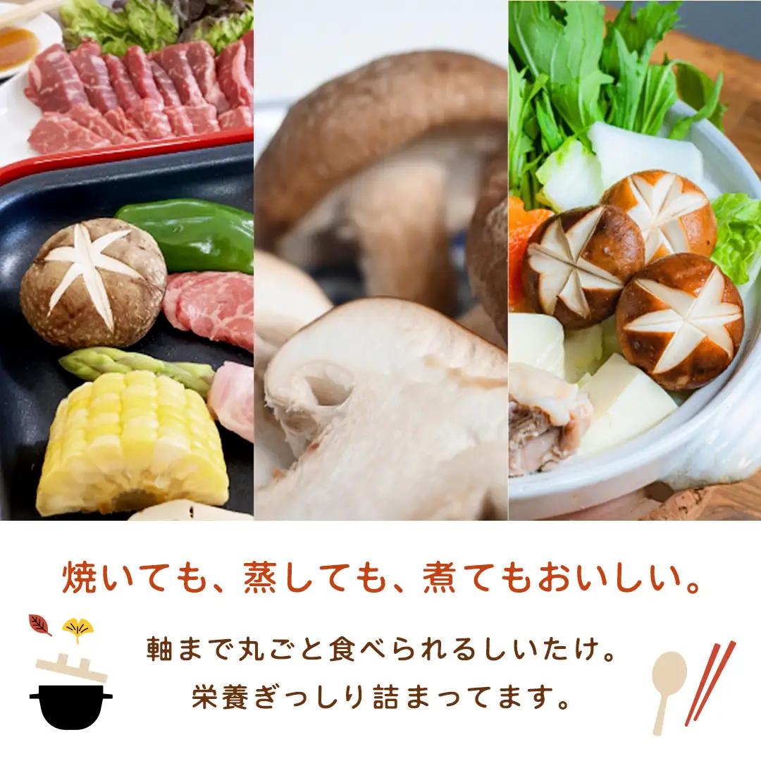 産地直送！軸まで美味しい『軸王しいたけ』サイズ混合 約1kg (約50～70個)