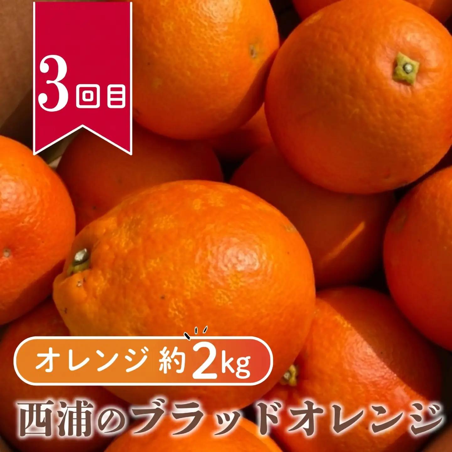 【 柑橘 定期便 】 訳あり 3回 定期便 由良 みかん 2.5kg 寿太郎 みかん 2.5kg ブラッドオレンジ 2kg