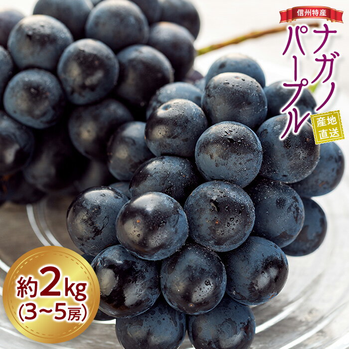 【ふるさと納税】ぶどう ナガノパープル 2kg 3～5房 葡萄 ブドウ 長野パープル 果物 くだもの フルーツ 旬の果物 旬のフルーツ 信州 長野 長野県 ※着日指定不可 ※オンライン決済限定 　お届け：2026年9月上旬～下旬頃