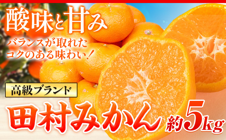 
                  【先行予約】みかん 高級ブランド 田村みかん 約 5kg 株式会社魚鶴商店《11月下旬-1下旬頃出荷(土日祝除く)》和歌山県 日高町 柑橘 フルーツ くだもの 果物 蜜柑 ミカン
                