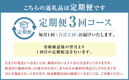 【定期便3回】球磨球子 40個×3回 合計120個 鶏卵 卵 玉子 たまご くまたまご