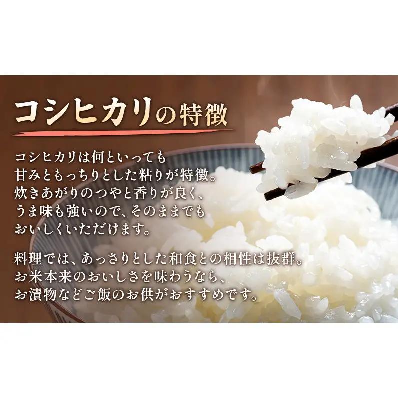 先行予約 令和8年 新潟県上越市産 コシヒカリ（特別栽培米） | 10kg (5キロ×2袋） 米  山本農園 ご飯 精米 新潟 上越