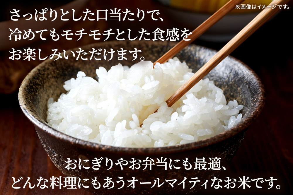 期間限定 【白米】《定期便3ヶ月》令和7年産 宮城県栗原産 ひとめぼれ 5kg（5kg×1袋）×3ヶ月 さっぱり モチモチ おにぎり お弁当