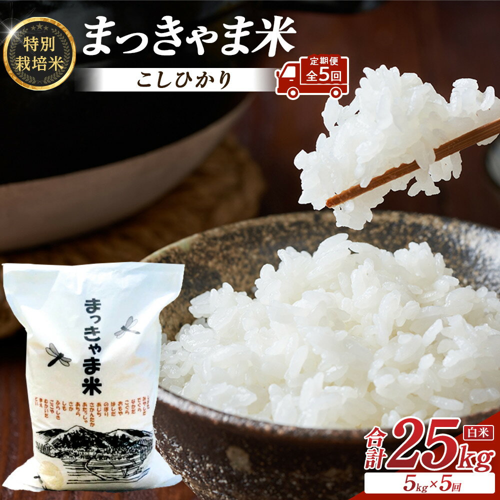 【ふるさと納税】（毎月／全5回）【白米】定期便　特別栽培米 石川県産こしひかり棚田米”まっきゃま米” | 米 お米 こめ 小粒 不揃い ブランド米 ご飯 ごはん おにぎり おむすび お弁当 お取り寄せ グルメ 人気 おすすめ 棚田米 まっきゃま米 石川県 金沢市