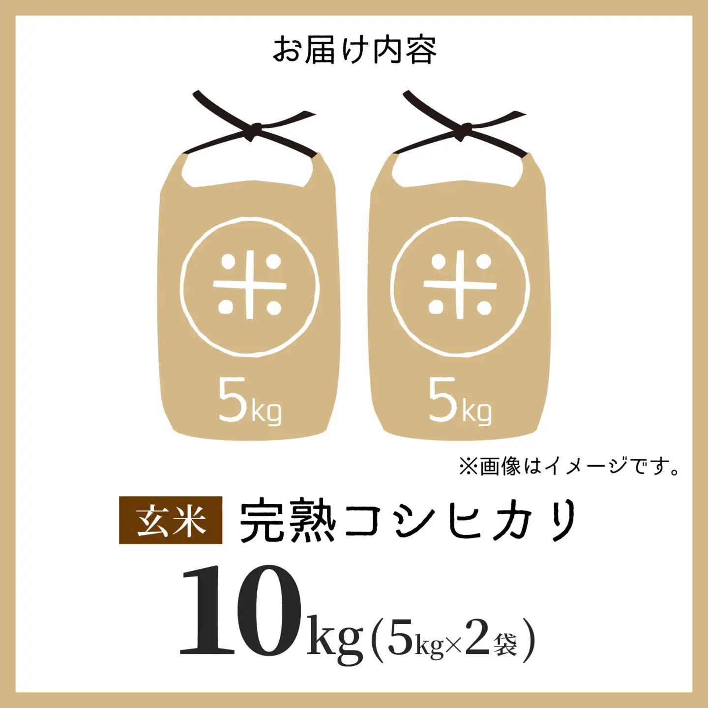 【先行予約】【令和8年産 新米】くらもち完熟米 コシヒカリ 玄米 10kg（5kg × 2袋）