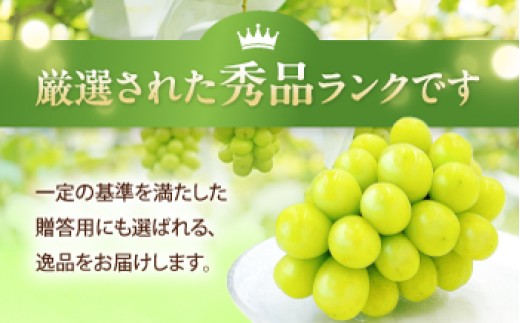 シャインマスカット しゃいんますかっと シャイン マスカット ますかっと Shine Muscat 秀品 3～5房 皮ごと