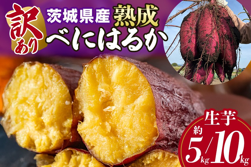
                  訳あり品！茨城県産熟成べにはるか 選べる 約5kg 10kg さつまいも サツマイモ 芋 いも 茨城県 那珂市 B15-005/B15-006
                