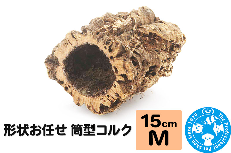 
形状お任せ 筒型コルク Mサイズ 長さ15cm エアプランツ 着生植物
